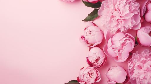 Pink peony flowers on bright pink background, spring flat lay banner. Valentine's, womens, mothers day, birthday or wedding concept. Top view. Copy space., Very details, super-realistic photography, 8k, v 5.2 --ar 16:9