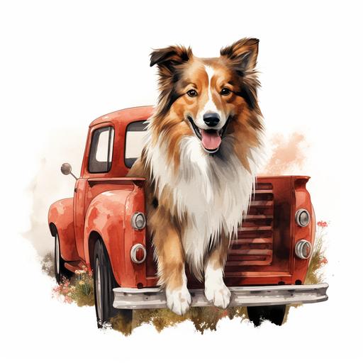 Shetland Sheepdog Dog Red Truck PNG Cute Sheltie Dog in a Farm Truck PNG Commercial Use Herding Dog Cute Sheepdog Sublimation PNG Dog Print