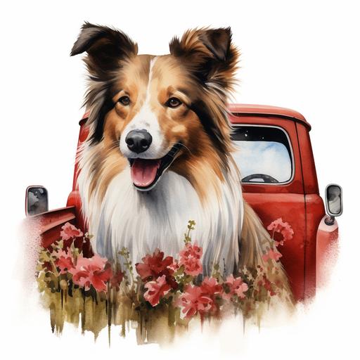 Shetland Sheepdog Dog Red Truck PNG Cute Sheltie Dog in a Farm Truck PNG Commercial Use Herding Dog Cute Sheepdog Sublimation PNG Dog watercolor Illustration Print