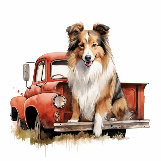 Shetland Sheepdog Dog Red Truck PNG Cute Sheltie Dog in a Farm Truck PNG Commercial Use Herding Dog Cute Sheepdog Sublimation PNG Dog Print