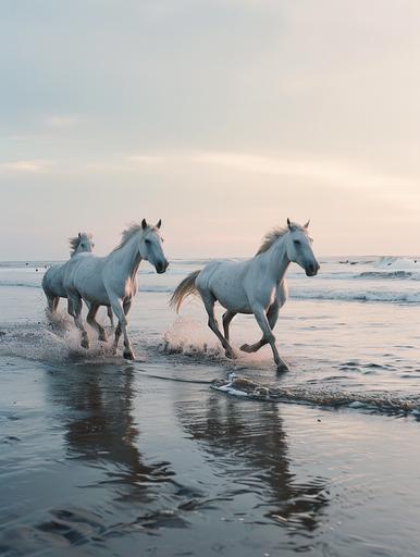 Side angle view of white wild horses running on the beach at twilight right after sunset, perspective view down the coast, calm minimal ocean, minimal exotic beach landscape, ethereal, ambient, neutral pastel colors, soft light, low contrast, editorial, shot on film camera --ar 3:4 --v 6.0