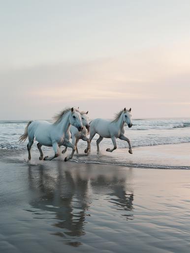 Side angle view of white wild horses running on the beach at twilight right after sunset, perspective view down the coast, calm minimal ocean, minimal exotic beach landscape, ethereal, ambient, neutral pastel colors, soft light, low contrast, editorial, shot on film camera --ar 3:4 --v 6.0