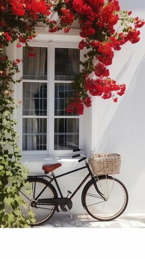 Sunny, white walls, chic windows, red roses, vine man, green branches, bicycle, real photo, HD, 8K, --ar 9:16 --v 5