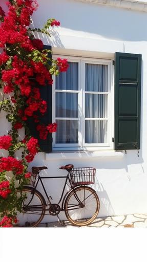 Sunny, white walls, chic windows, red roses, vines, green branches, bicycle, real photo, HD, 8K, cleat detail, --ar 9:16 --v 5 --no bicycle