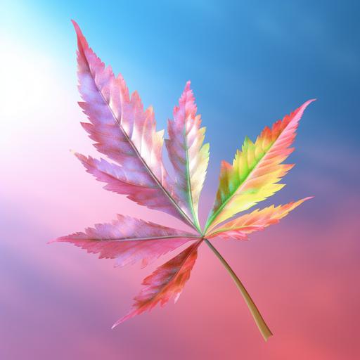 Vibrant colored Weed Leaf in its Glory shining from the sky ultra realistic 8k - ar 3:2