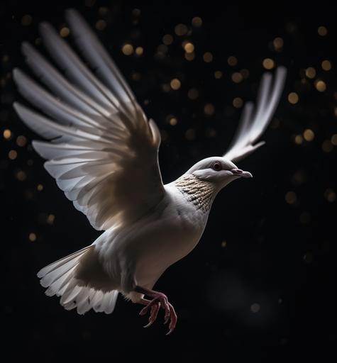 a beautiful stargazing white dove holding a small olive twig in it's beak, in flight, wings spread, washed in golden white light, brilliant star-filled night. low-angle shot with a focus on the doves eyes, feathers are hyper-detailed and extremely sharp focused, the sky is bright with glowing stars, dramatic lighting, spectacular composition, DSLR wildlife photography, realistic detail --ar 24:26 --s 750 --v 5