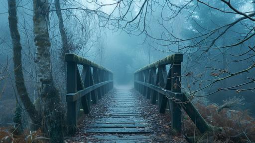a bridge leading to the entrance of a carboniferous forest maze, view from bridge, long delapelated bridge, misty, blue haze --ar 16:9 --v 6.0