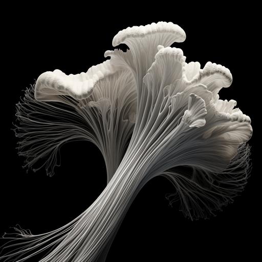 a dynamic white line drawing on black background of abstract barnacles and mussels growing over eachother. Growth lines on the mussels radiate outwards and are white. Cgi crisp lines made with white on black. The mussels and barnacles are growing vertically