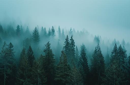 a fog covered pine tree forest in a wooded part, in the style of 8k resolution, light teal and dark gray, expansive landscapes, flickr, lo-fi aesthetics, time-lapse photography, i can't believe how beautiful this is --ar 90:59 --v 6.0