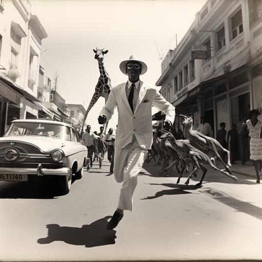 a full body dutch angle black and white photo of a terrified Denzel Washington in a white cuban shirt, panama hat, military wristwatch and dark sunglasses being chased toward the viewer by angry giraffe crabs on a city street in 1974