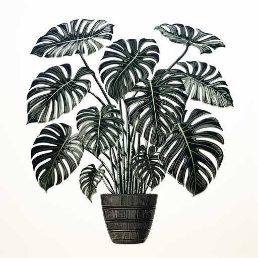 a linocut folk art style drawing of a gigantic potted monstera with lots of huge leaves