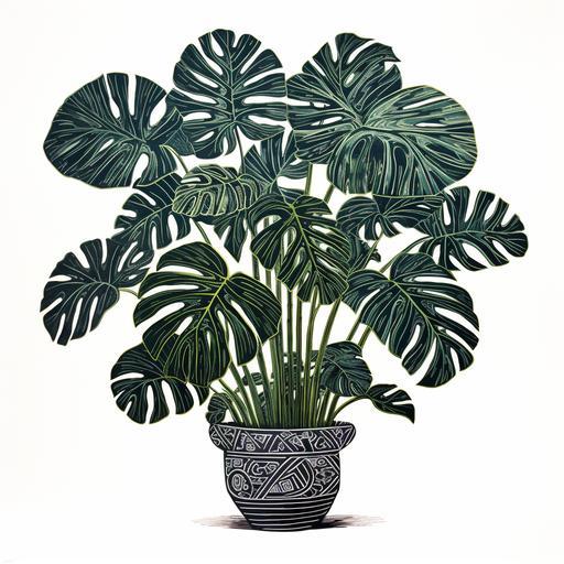 a linocut folk art style drawing of a gigantic potted monstera with lots of huge leaves