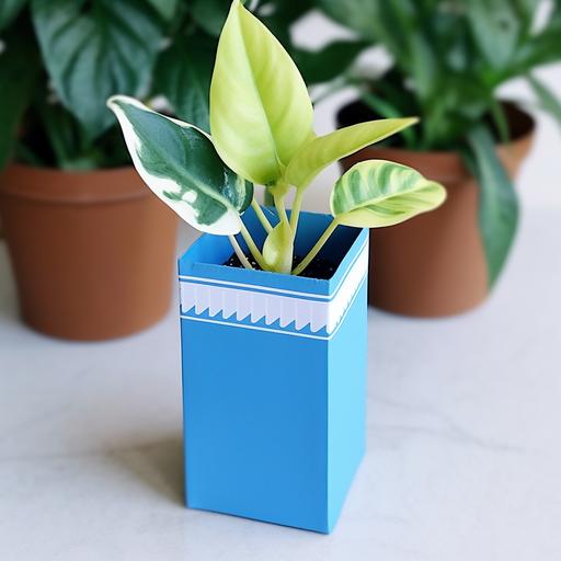 a paper plant box made by a milk box, blue and rectangular milk box, cute and beautiful small plant