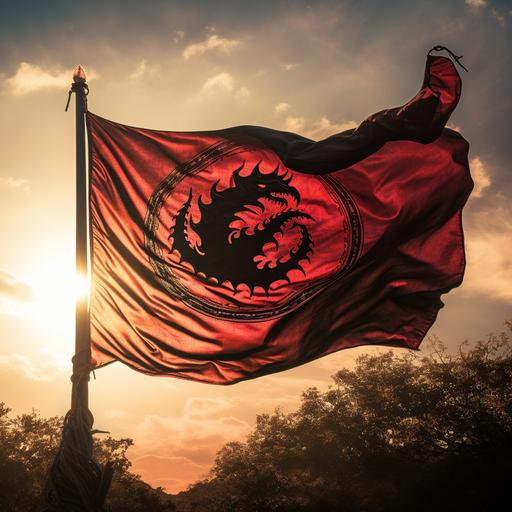 a photo of a red banner with a twisting black dragon symbol on it. The medieval banner waves in the breeze above a battlefield. Dramatic lighting.