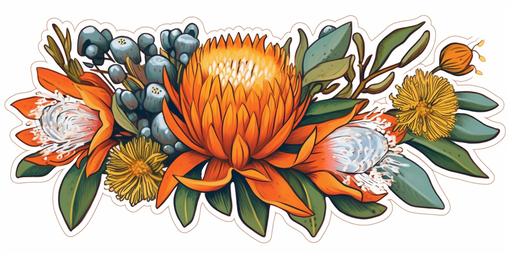 a picture of australian native flowers sticker on a white background, in the style of colored cartoon style, digitally enhanced, simplified line work, creative commons attribution, cut and paste --ar 4:2