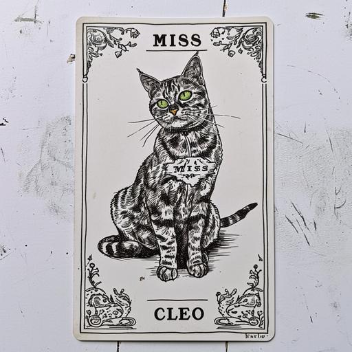 a sketch in Indian ink on white background of a Tarot Card with a grey tortoiseshell cat with green eyes, sitting in a classy pose, that says 