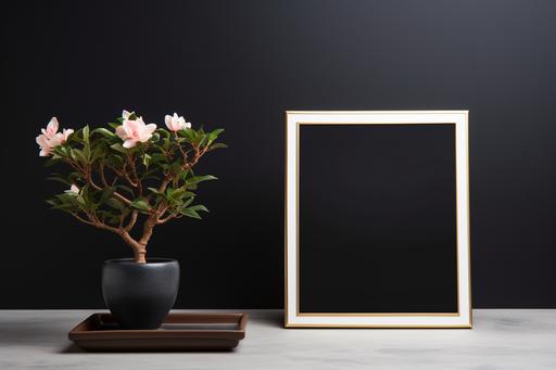 a square golden frame with a very old bonsai with pink flower potted plant next to it, in the style of black dotted background, minimalist backgrounds, light white, intentionally canvas, collecting and modes of display --ar 3:2