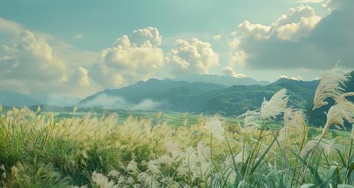 a tropical landscape with tall grass and beautiful mountains seen, in the style of hallyu, soft, dreamy scenes, kodak vision3 500t, frequent use of yellow, impressive panoramas, celebration of rural life, edogawa ranpo --ar 32:17