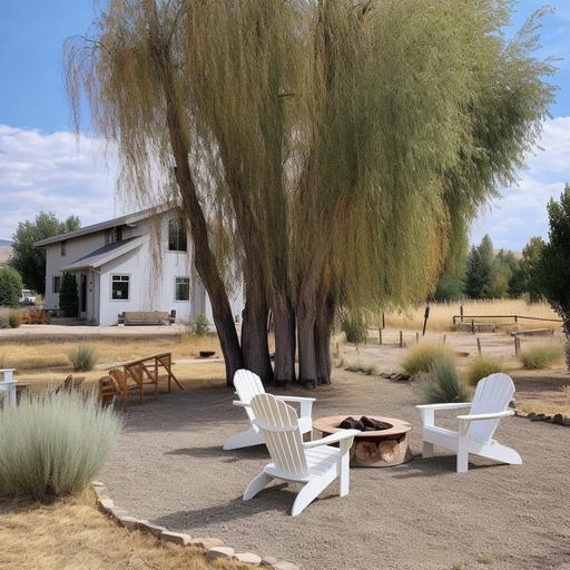 a very large old weeping willow tree, in Colorado, surrounded by a landscaped gravel area. on top of the gravel is four modern black adirondack chairs next to it, around a small fire pit. outside of the gravel area is grass. There is a white house in the background and a split rail fence.