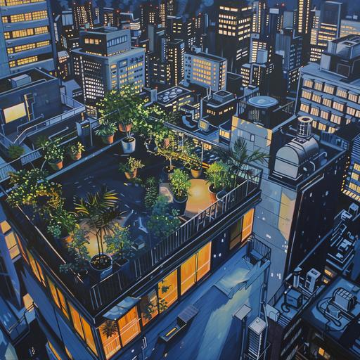 acrylic painting, birds eye view, rooftop zen garden, minimal, night time, tokyo