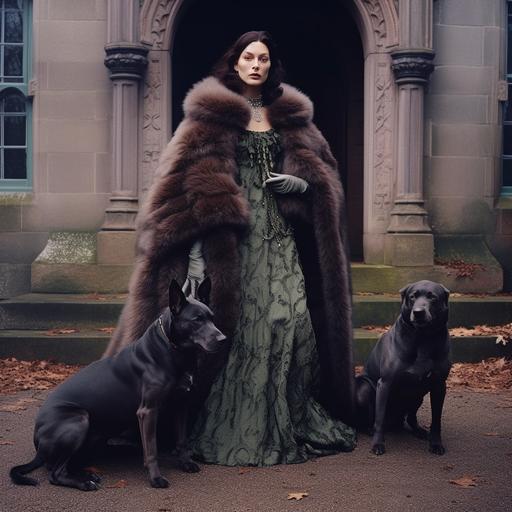annie leibovitz medium format film photo of bella hadid wearing a fancy fur coat outside 1970s haunted mansion with two great danes