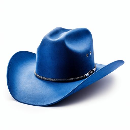 blue cowboy hat color code #1f5384