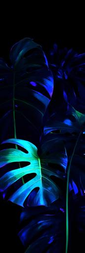blue, purple and green fluor, monstera leaves wallpaper pattern paint, 4k, blue light --ar 1:3 --weird 25 --chaos 20 --niji 5