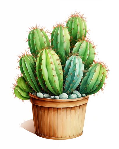 cactus draw, logo, white background, poster, ilustration, --aspect 4:5