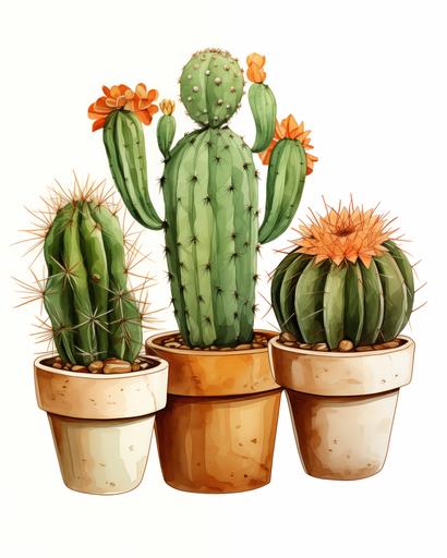 cactus draw, logo, white background, poster, ilustration, --aspect 4:5