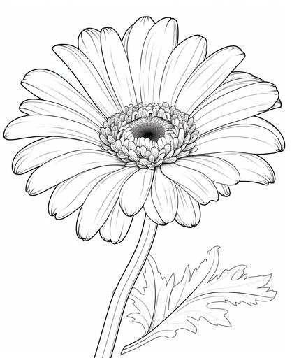 coloring page for kids, gerbera daisy, cartoon style, thick line, low detailm no shading, no painting --ar 9:11
