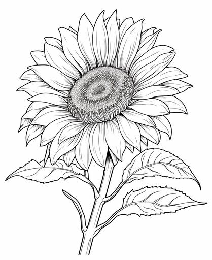 coloring page for kids, sunflower, cartoon style, thick line, low detailm no shading, no painting --ar 9:11