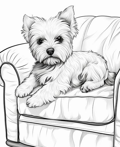 children coloring pages, a yorkshire terrier puppy laying on a couch, cartoon style, thick lines, low detail, black and white, no shading --ar 9:11