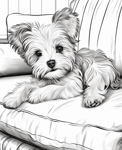 children coloring pages, a yorkshire terrier puppy laying on a couch, cartoon style, thick lines, low detail, black and white, no shading --ar 9:11