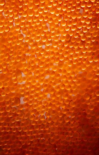 image completely full of of tiny round and transparent orange gel capsules, thousands of capsules photographed from straight above, top view, realistic 3d render, chaos 50, --ar 9:14