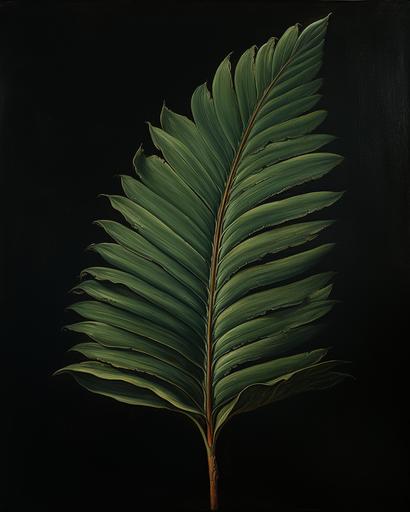 renaissance painting, single palmtree leaf, dark background --ar 4:5