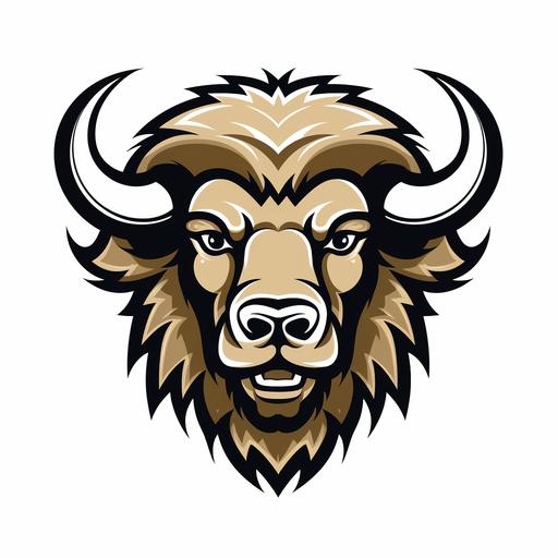 colorado buffaloes style logo representing the same colors on white backdrop