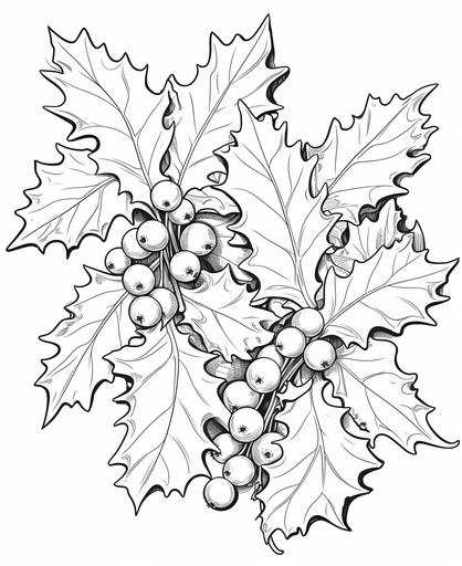 coloring page for children, black and white, christmas ivy holly trees decorations, cartoon style, thick lines, low detail, no shading, outlines only --ar 9:11