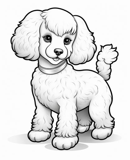 coloring page for kids, Poodle, cartoon style, thick line, low detailm no shading --ar 9:11
