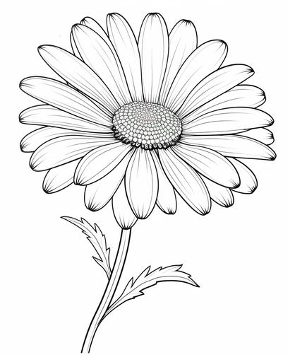 coloring page for kids, daisy, cartoon style, thick line, low detailm no shading --ar 9:11