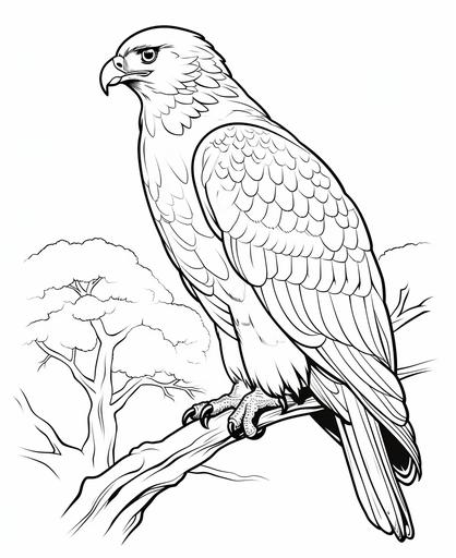coloring page for kids, hawk, cartoon style, thick line, low detailm no shading --ar 9:11