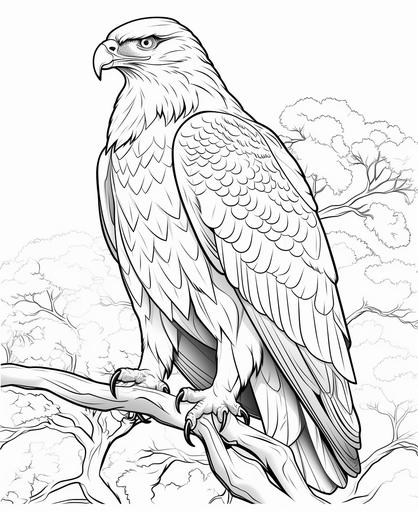 coloring page for kids,Hawk , cartoon style, thick line, low detailm no shading --ar 9:11