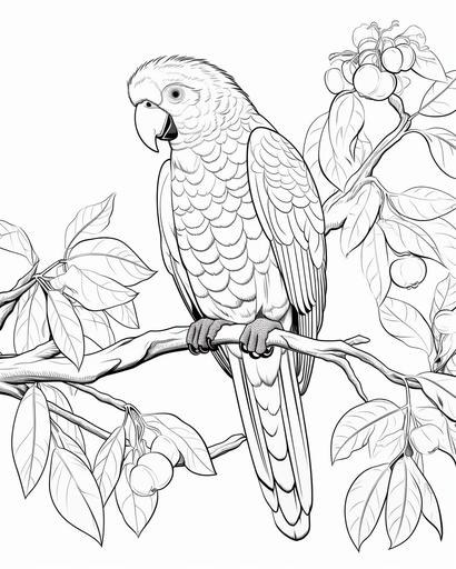 coloring page for kids,parrot on a Mango tree, cartoon style, low detail, no shading, no pattern, clear, line art, white background --ar 4:5 --v 5.2