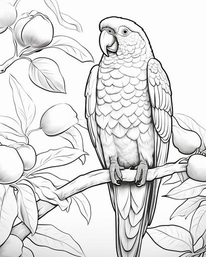 coloring page for kids,parrot on a Mango tree, cartoon style, low detail, no shading, no pattern, clear, line art, white background --ar 4:5 --v 5.2