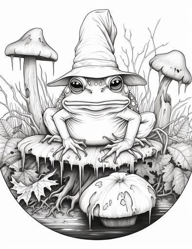 coloring pages for adults, halloween themed, a frog on a lily pad with warlock's hat, thick lines, low detail, black and white, no shading, --ar 85:110