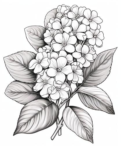 coloring pages for kids, flowering bush, cartoon style, low detail, thick lines, no shading --ar 9:11