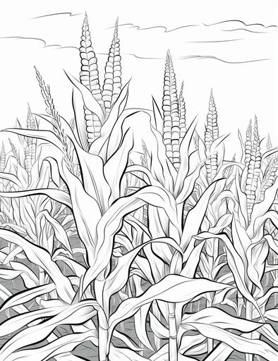 coloring pages for kids,corn in farm, cartoon style, thick lines, low details, black and white, no shading, --ar 85:110