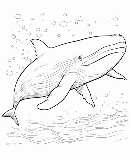 colouring pictures for kids, cartoon style, blue whale, think lines, no shading, --ar 9:11