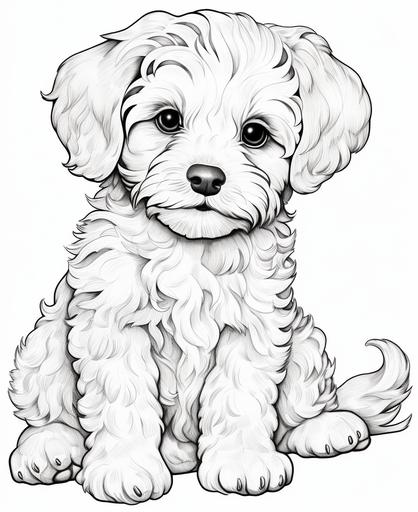 colouring pictures of puppy toy poddle, realistic, a fun background, clear defined lines, lots of detail, no shading, --ar 9:11