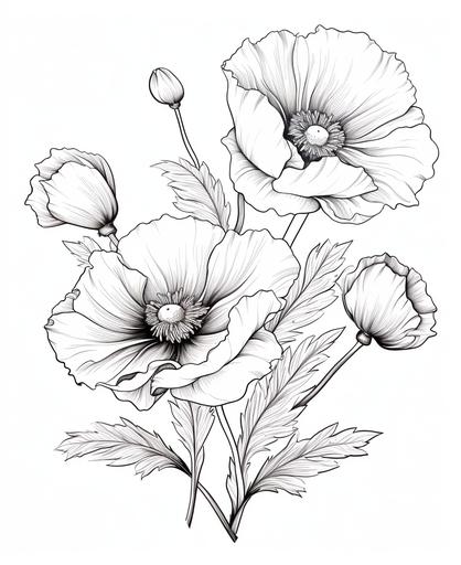 crisp, coloring book pages for kids, poppy flowers, line art, black and white, no color, thick lines, no shadow, no shading, white background, cartoon style, low detail --ar 9:11