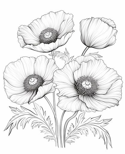 crisp, coloring book pages for kids, poppy flowers, line art, black and white, no color, thick lines, no shadow, no shading, white background, cartoon style, low detail --ar 9:11